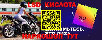 ALPHA PVP Партизанск