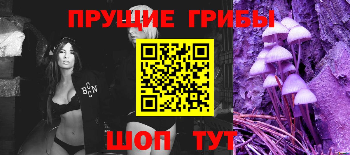 Псилоцибиновые грибы Psilocybine cubensis  Вход с VPN  Ноябрьск 